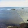 images/Schweden/Schweden 2009/IMG_4552.jpg